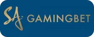 Visa icon