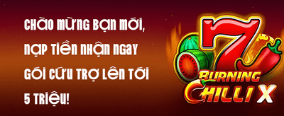 Sân vận động thể thao hiện đại